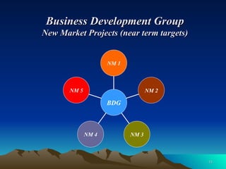 Business Development Group New Market Projects (near term targets) NM 5 NM 4 NM 3 NM 2 NM 1 BDG 