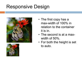 Responsive Design
• The first copy has a
max-width of 100% in
relation to the container
it is in.
• The second is at a max-
width of 50%.
• For both the height is set
to auto.
 