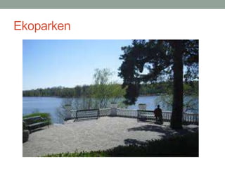 Ekoparken
 