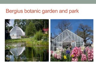 Bergius botanic garden and park
 