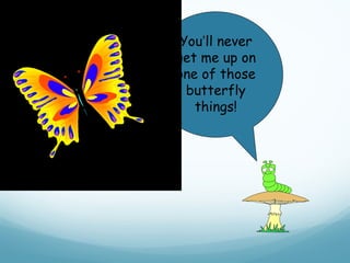 You’ll never
get me up on
one of those
  butterfly
   things!
 