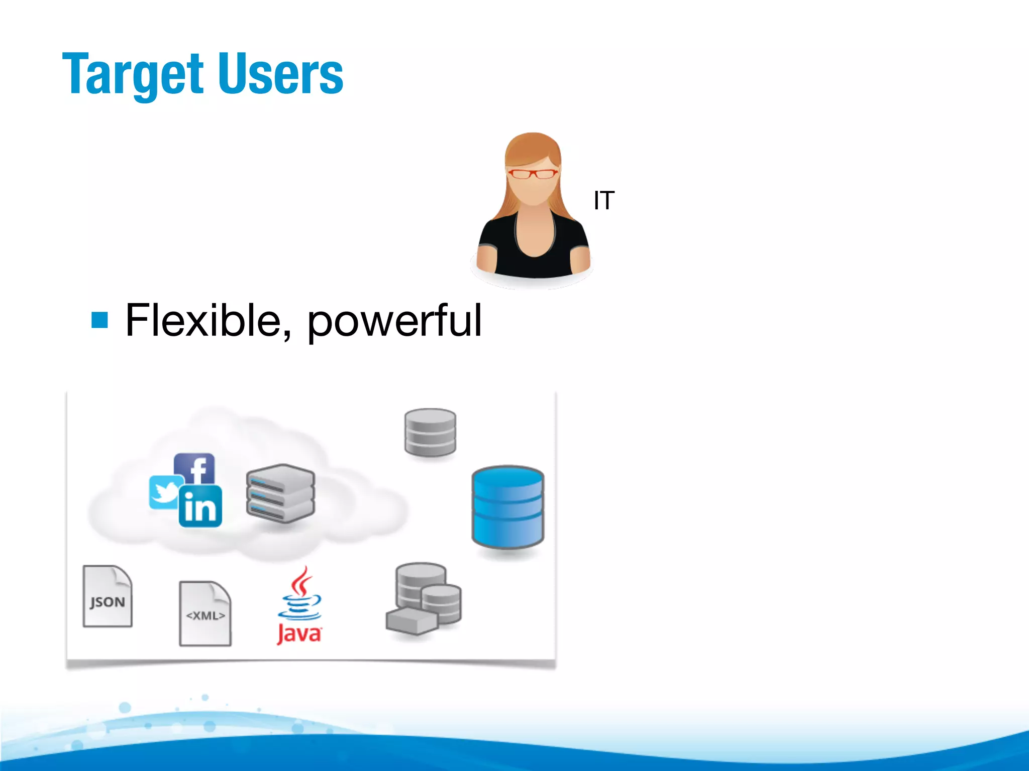 Target Users IT ▪  Flexible, powerful 