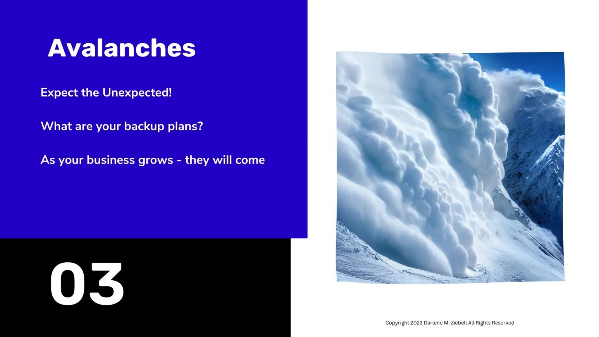 Best Practices Start Build Sustain and Grow a Business