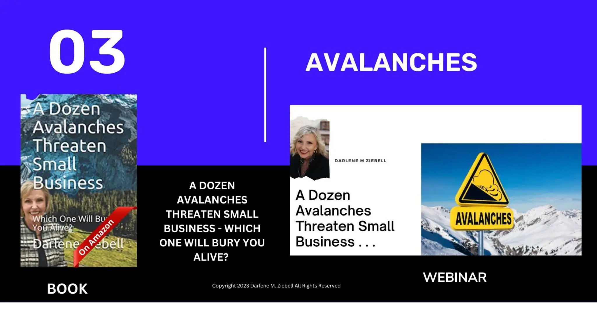 Best Practices Start Build Sustain and Grow a Business