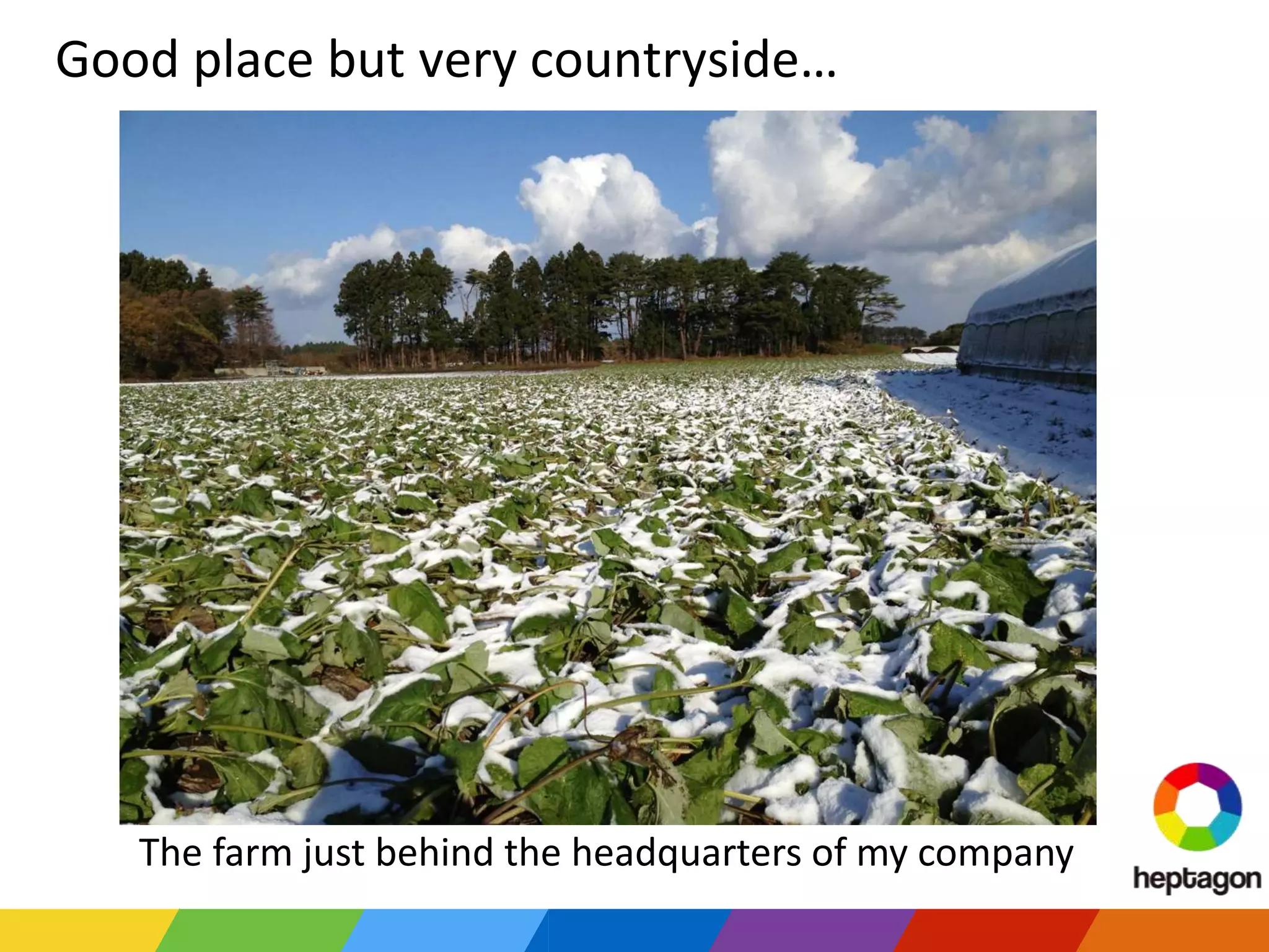 Good place but very countryside…
The farm just behind the headquarters of my company
 