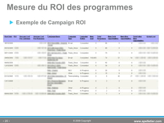 Exemple de Campaign ROI Mesure du ROI des programmes -   - www.apelletier.com  © 2009 Copyright 