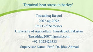 'Terminal heat stress in barley' 
Tassadduq Rasool 
2007-ag-2092 
Ph.D 2nd Semester 
University of Agriculture, Faisalabad, Pakistan 
Tassadduq2007@gmail.com 
+92-3023426583 
Supervisor Name: Prof. Dr. Riaz Ahmad 
 