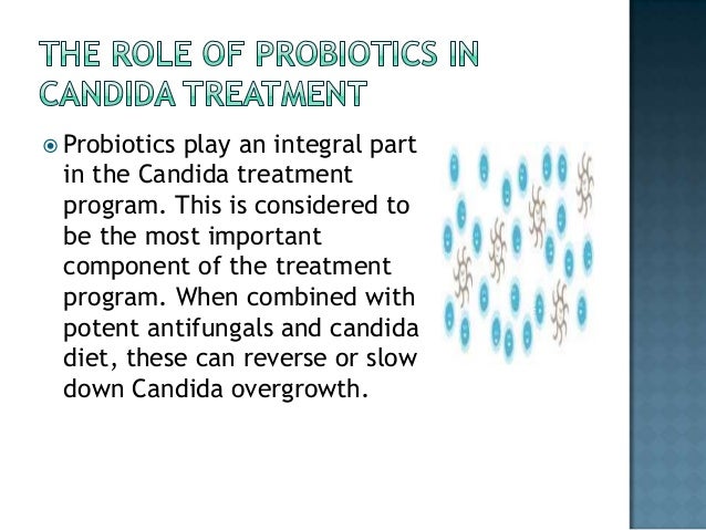 Best Diet Pills >> Best probiotic for candida` Best Diet Pills >> Best probiotic for candida`