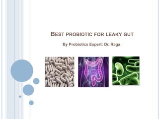 BEST PROBIOTIC FOR LEAKY GUT
By Probiotics Expert: Dr. Raga
 
