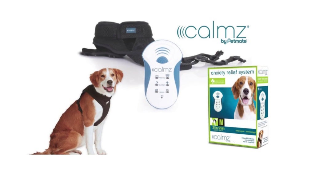 Best Product for Dog Anxiety