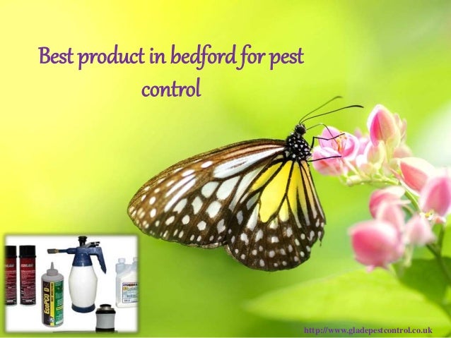 Best product in bedford for pest
control
http://www.gladepestcontrol.co.uk
 