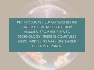 Best Products for Pet Owners