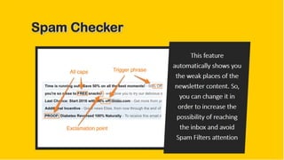 Best program for sending mass email campaigns