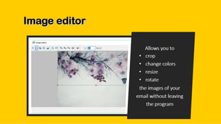 Best program for sending mass email campaigns