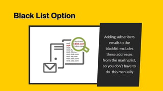 Best program for sending mass email campaigns
