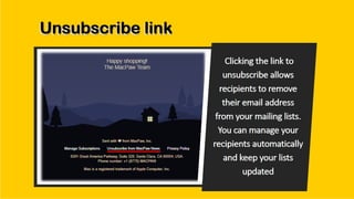 Best program for sending mass email campaigns