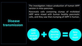 Disease
transmission”
The investigators induce production of human IAPP
version in mice pancreas .
Pancreatic cells containing clumps of misfolded
IAPP were mixed with human healthy pancreatic
cells, and they saw that clumping of IAPP in human.
cells was triggered.
Cells
with
misfold
ed IAPP
Healthy
pancrea
tic cells
Beta
dell
death
 