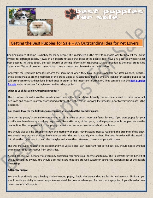 local puppies for sale