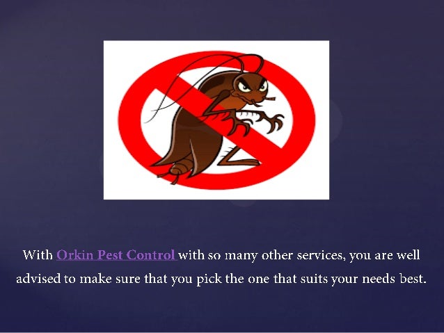 orkin pest control