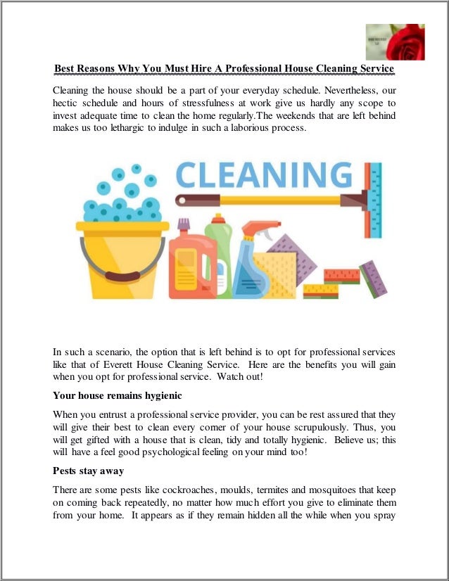 best reasons why you must hire a professional house scope cleaning services