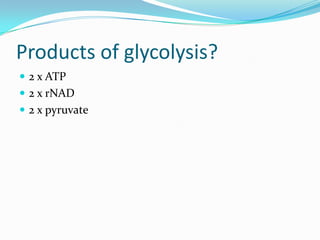 Products of glycolysis?
 2 x ATP
 2 x rNAD
 2 x pyruvate
 