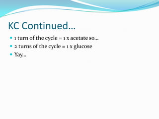 KC Continued…
 1 turn of the cycle = 1 x acetate so…
 2 turns of the cycle = 1 x glucose
 Yay…
 
