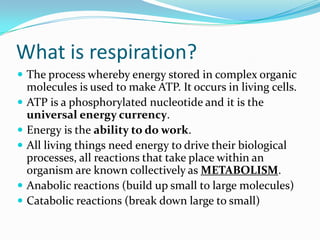 What is respiration?
 The process whereby energy stored in complex organic
    molecules is used to make ATP. It occurs in living cells.
   ATP is a phosphorylated nucleotide and it is the
    universal energy currency.
   Energy is the ability to do work.
   All living things need energy to drive their biological
    processes, all reactions that take place within an
    organism are known collectively as METABOLISM.
   Anabolic reactions (build up small to large molecules)
   Catabolic reactions (break down large to small)
 