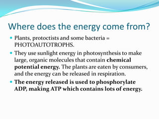 Where does the energy come from?
 Plants, protoctists and some bacteria =
  PHOTOAUTOTROPHS.
 They use sunlight energy in photosynthesis to make
  large, organic molecules that contain chemical
  potential energy. The plants are eaten by consumers,
  and the energy can be released in respiration.
 The energy released is used to phosphorylate
  ADP, making ATP which contains lots of energy.
 