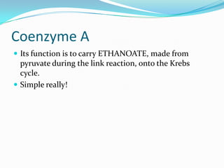 Coenzyme A
 Its function is to carry ETHANOATE, made from
  pyruvate during the link reaction, onto the Krebs
  cycle.
 Simple really!
 