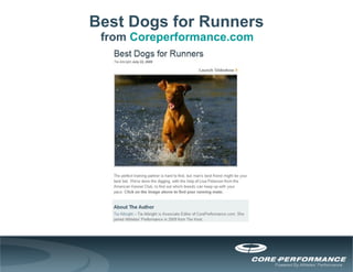 Best Dogs for Runners from  Coreperformance.com 