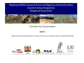 Conservation and wildlife in Kenya