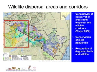 Conservation and wildlife in Kenya