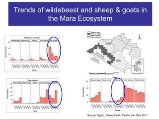 Conservation and wildlife in Kenya