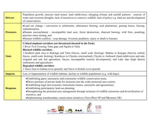 Conservation and wildlife in Kenya