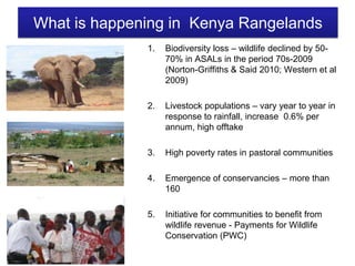 Conservation and wildlife in Kenya