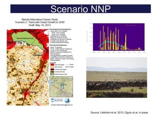 Conservation and wildlife in Kenya