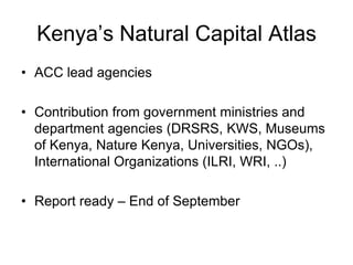 Conservation and wildlife in Kenya