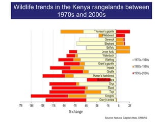 Conservation and wildlife in Kenya