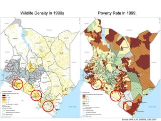 Conservation and wildlife in Kenya