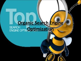 Organic Search Engine
    Optimization
 