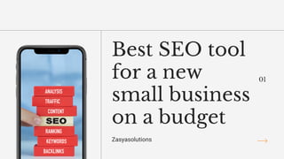 Best SEO tool
for a new
small business
on a budget
Zasyasolutions
01
 