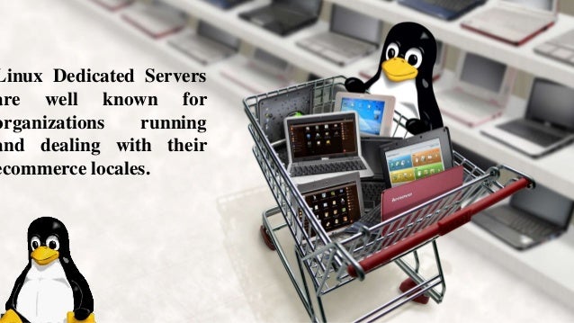 Best Server For Small Business