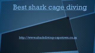 Best shark cage diving

http://www.sharkdiving-capetown.co.za

 