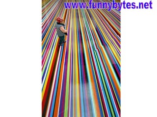 www.funnybytes.net 