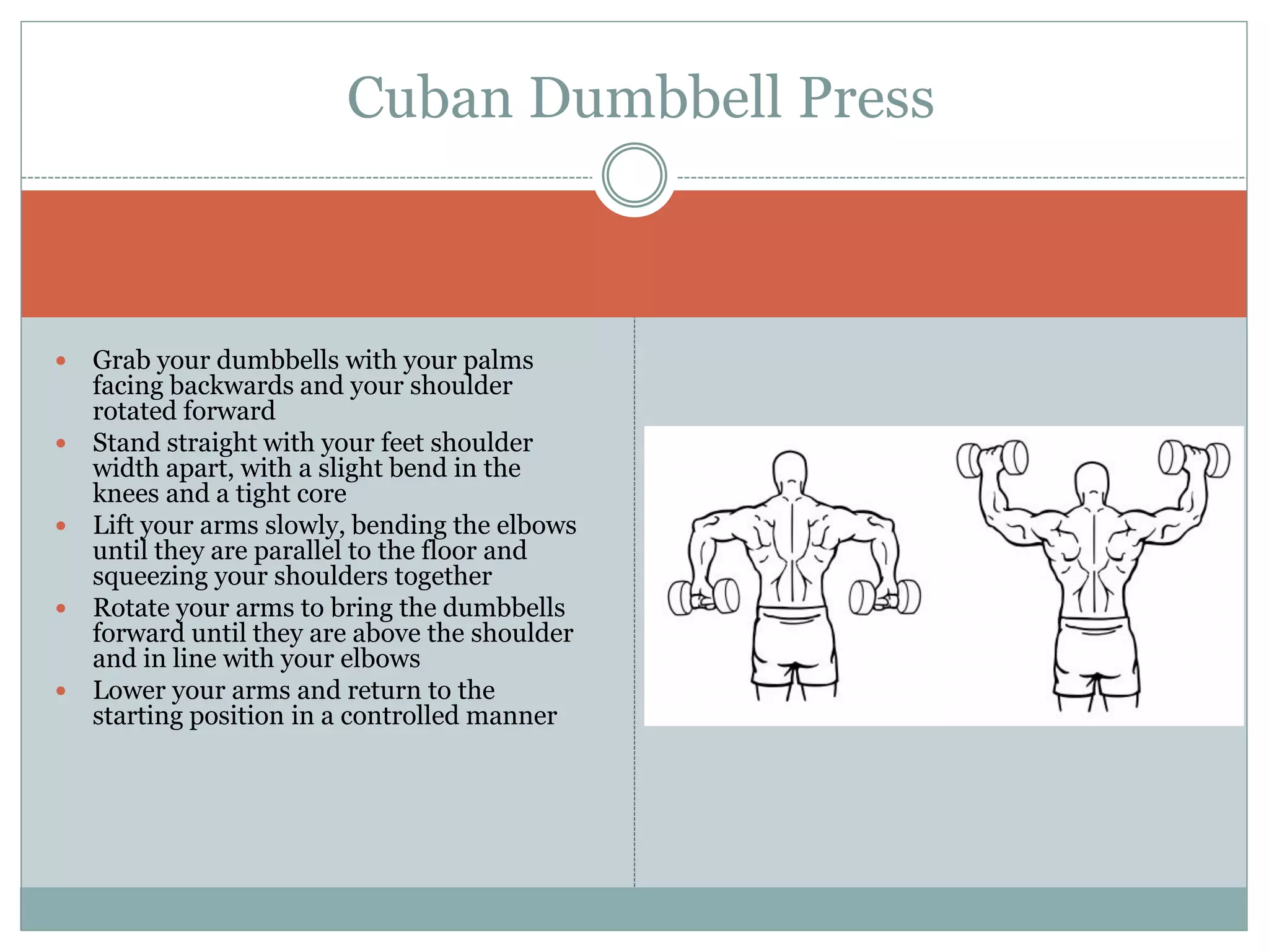  Grab your dumbbells with your palms
facing backwards and your shoulder
rotated forward
 Stand straight with your feet shoulder
width apart, with a slight bend in the
knees and a tight core
 Lift your arms slowly, bending the elbows
until they are parallel to the floor and
squeezing your shoulders together
 Rotate your arms to bring the dumbbells
forward until they are above the shoulder
and in line with your elbows
 Lower your arms and return to the
starting position in a controlled manner
Cuban Dumbbell Press
 