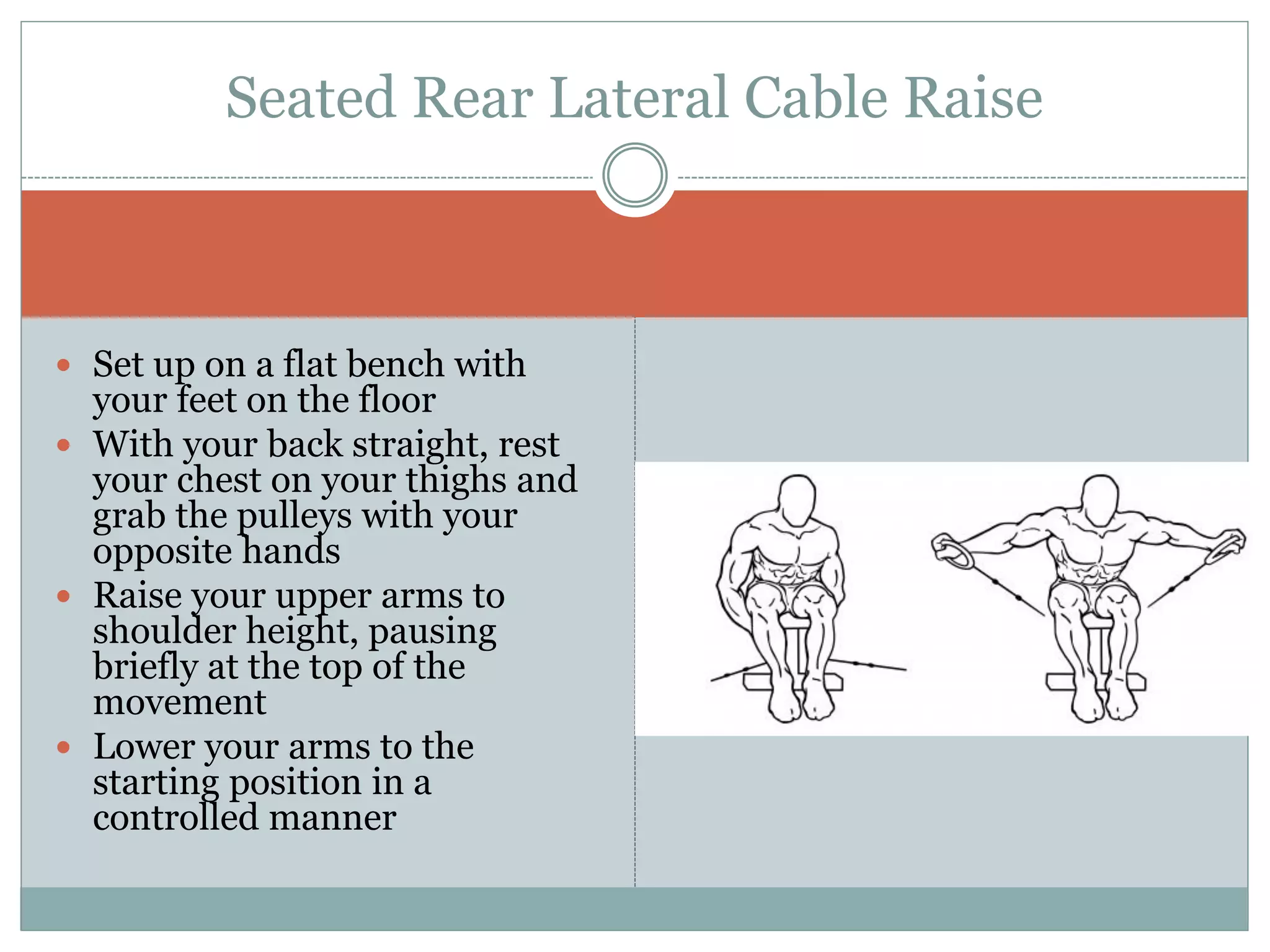  Set up on a flat bench with
your feet on the floor
 With your back straight, rest
your chest on your thighs and
grab the pulleys with your
opposite hands
 Raise your upper arms to
shoulder height, pausing
briefly at the top of the
movement
 Lower your arms to the
starting position in a
controlled manner
Seated Rear Lateral Cable Raise
 