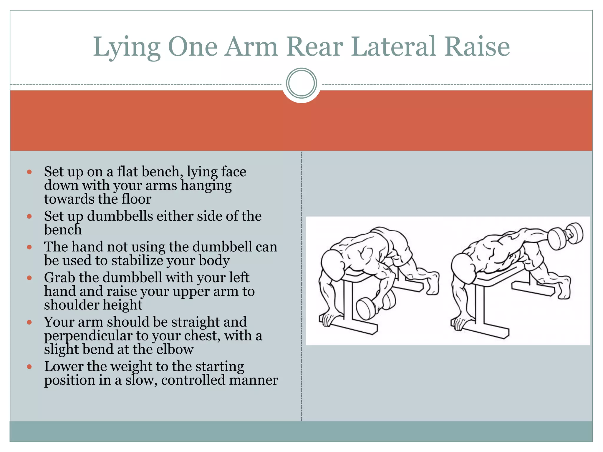  Set up on a flat bench, lying face
down with your arms hanging
towards the floor
 Set up dumbbells either side of the
bench
 The hand not using the dumbbell can
be used to stabilize your body
 Grab the dumbbell with your left
hand and raise your upper arm to
shoulder height
 Your arm should be straight and
perpendicular to your chest, with a
slight bend at the elbow
 Lower the weight to the starting
position in a slow, controlled manner
Lying One Arm Rear Lateral Raise
 