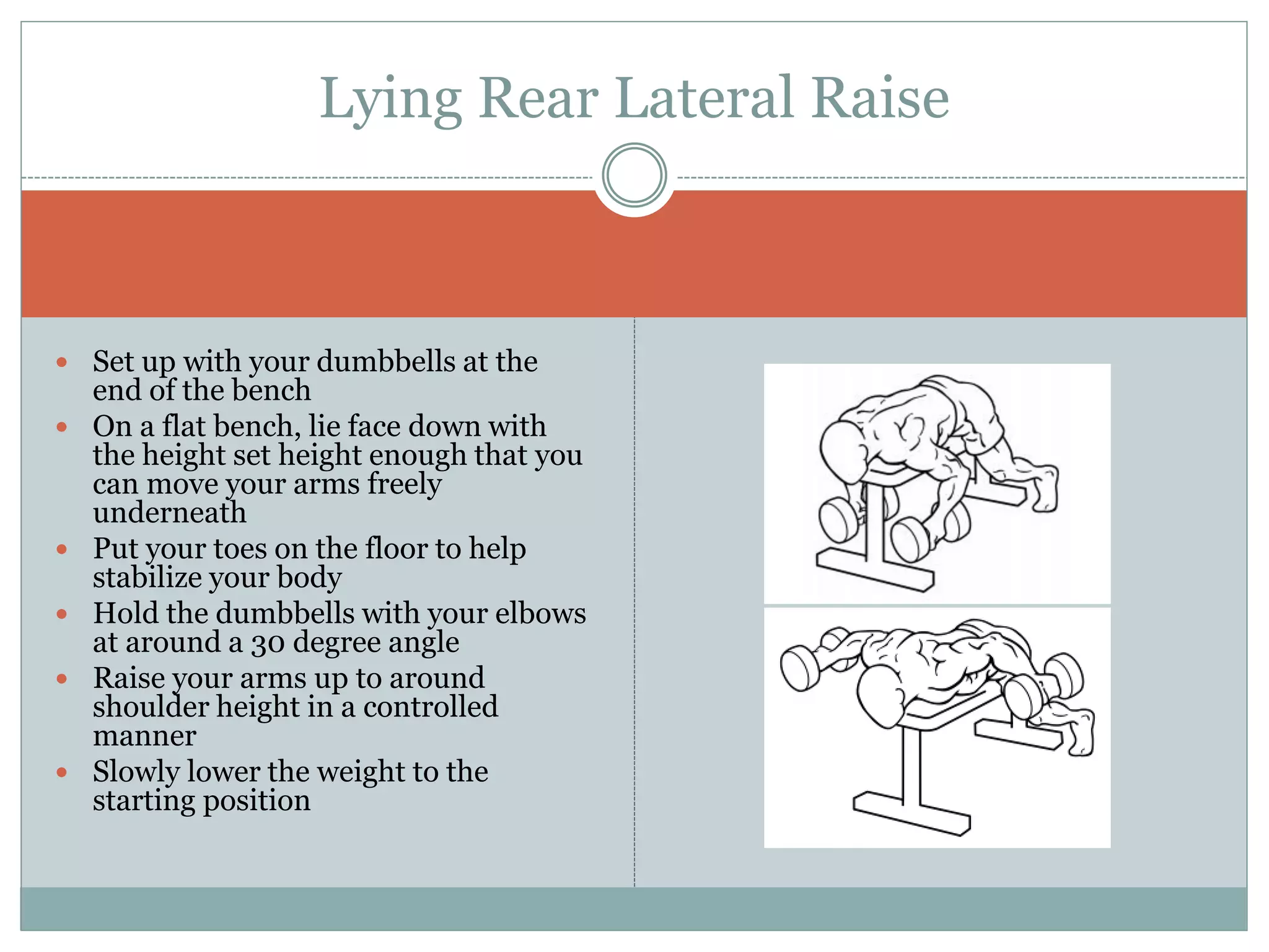  Set up with your dumbbells at the
end of the bench
 On a flat bench, lie face down with
the height set height enough that you
can move your arms freely
underneath
 Put your toes on the floor to help
stabilize your body
 Hold the dumbbells with your elbows
at around a 30 degree angle
 Raise your arms up to around
shoulder height in a controlled
manner
 Slowly lower the weight to the
starting position
Lying Rear Lateral Raise
 