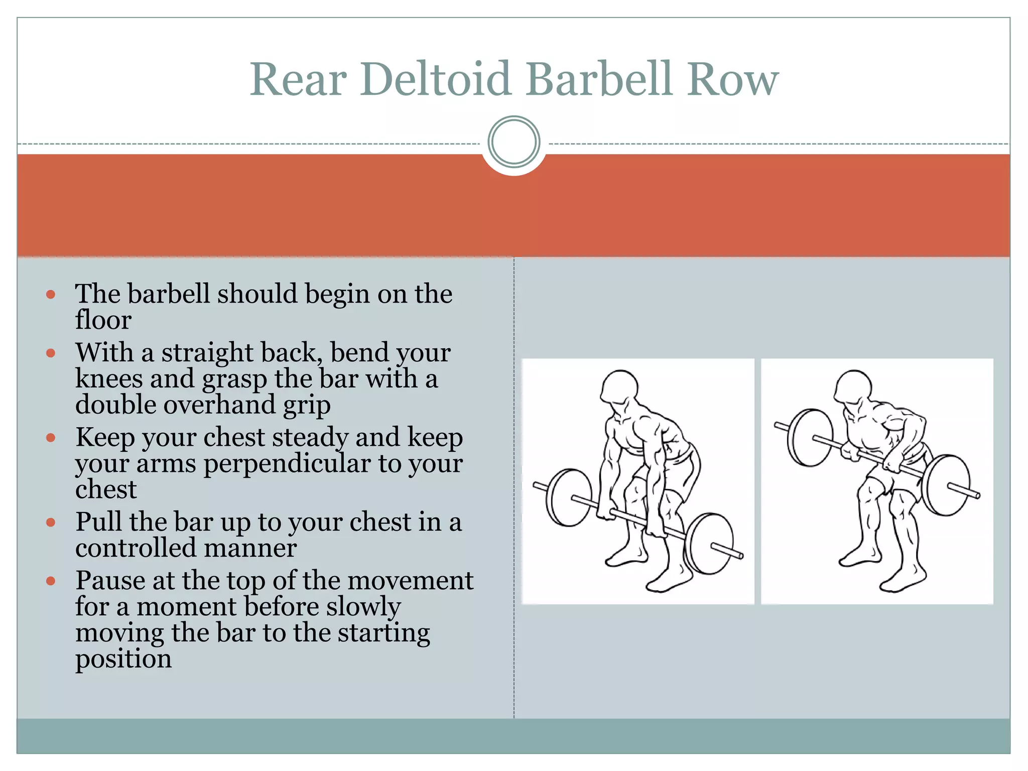  The barbell should begin on the
floor
 With a straight back, bend your
knees and grasp the bar with a
double overhand grip
 Keep your chest steady and keep
your arms perpendicular to your
chest
 Pull the bar up to your chest in a
controlled manner
 Pause at the top of the movement
for a moment before slowly
moving the bar to the starting
position
Rear Deltoid Barbell Row
 