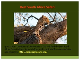 Best South Africa Safari
3-in-1: Fun, Comfort and Adventure – You will find the best South
Africa Safari trips at Kanyezi along with comfortable accommodation
and transfers. http://kanyezisafari.org/
 